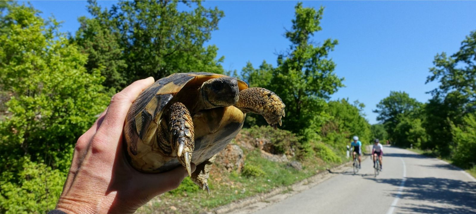 Albania - North to South